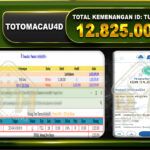 TOTO MACAU 12.825.000